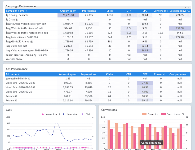 Google Ads Overview Report