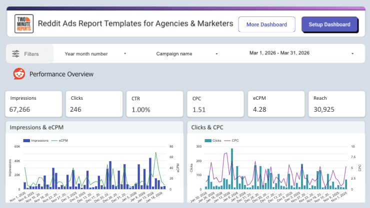Reddit Ads Report Templates for Agencies & Marketers