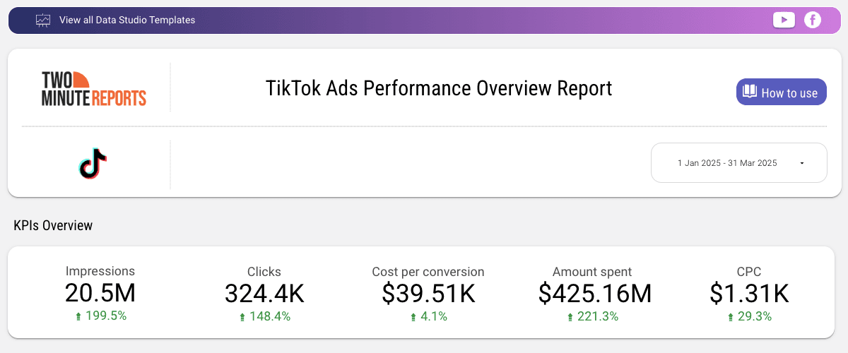 TikTok Ads Performance Overview Report