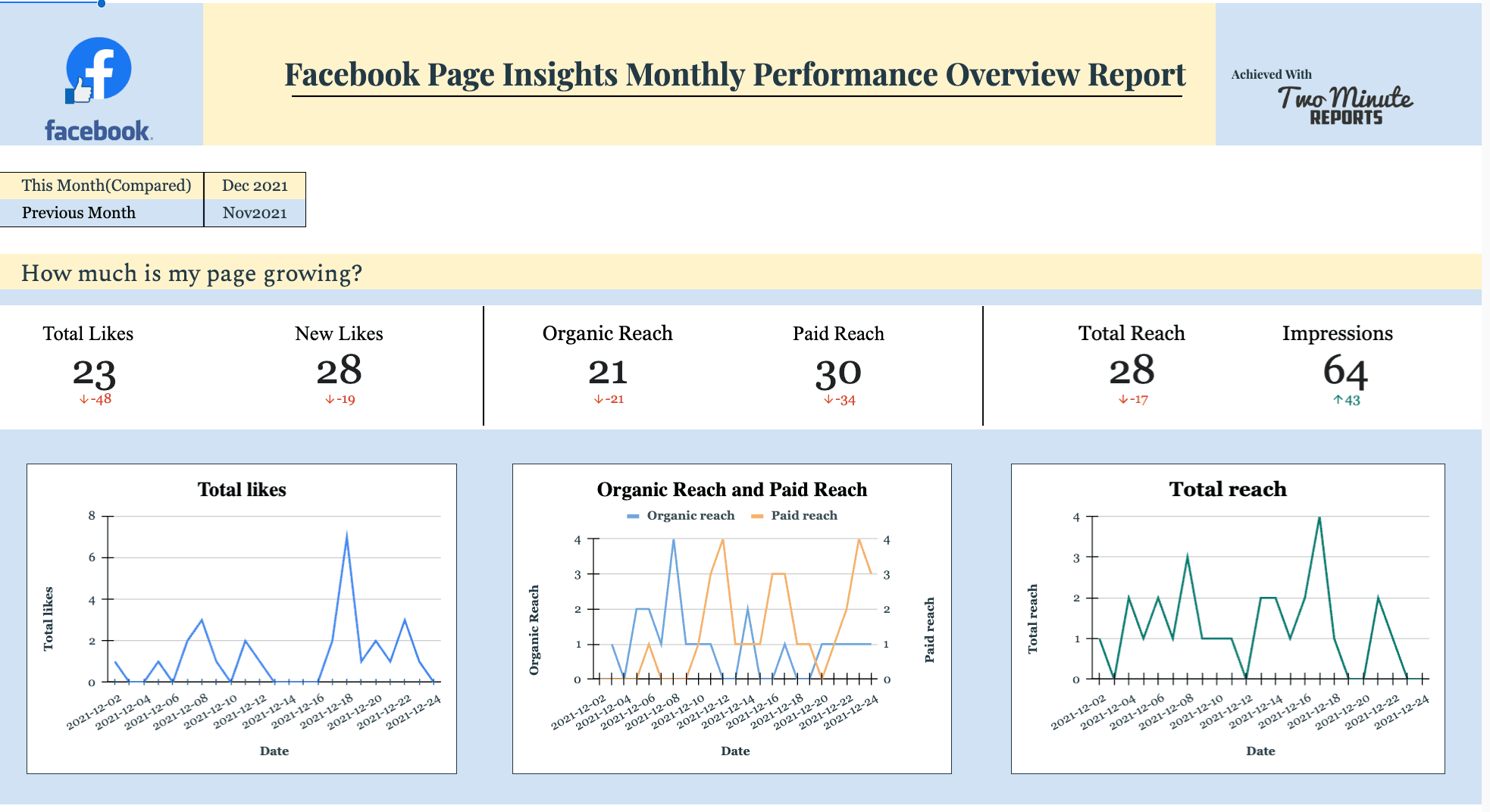 Facebook Page Insights Monthly Performace Overview Report