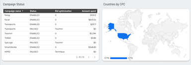 Amazon Ads - Orders and Sales Analytical Report