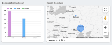 Facebook Ads Lead Generation Report