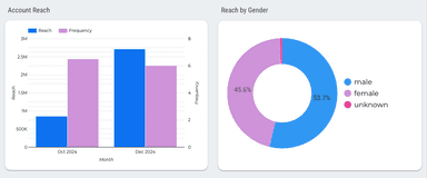 Facebook Ads Overall Performance Report