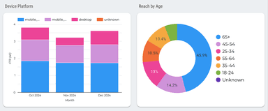 Facebook Ads Overall Performance Report