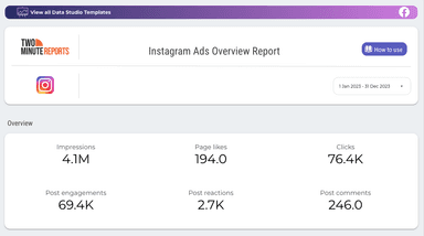 Instagram Ads Overview Report