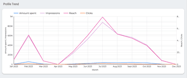 Instagram Ads Overview Report