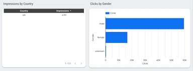 Instagram Ads Overview Report