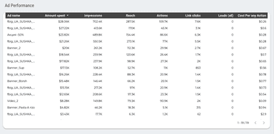 Instagram Ads Overview Report
