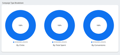 LinkedIn Ads Overview Report