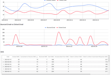 Klaviyo Overview Report