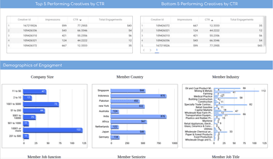 LinkedIn Ads Campaign Performance