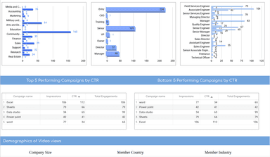 LinkedIn Ads Campaign Performance