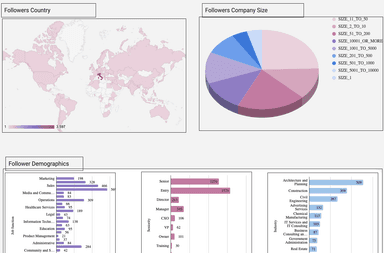 LinkedIn Pages - Page views and Demographic Performance