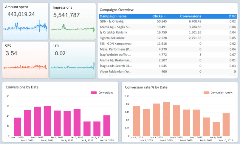 Google Ads Monitoring Report