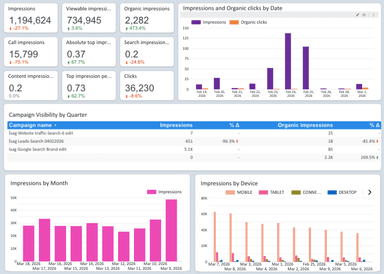 Google Ads Visibility Overview Report