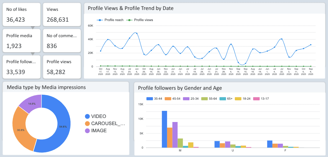 Instagram Insights Monitoring Report
