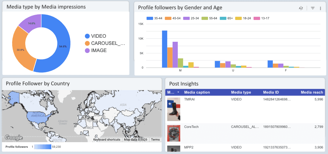Instagram Insights Monitoring Report