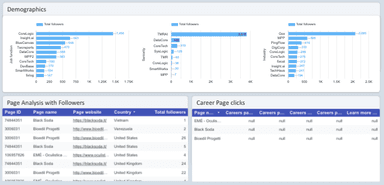 LinkedIn Pages Overall Performance Report
