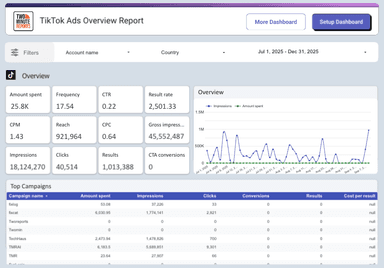 TikTok Ads Overview Report