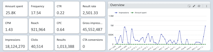 TikTok Ads Overview Report