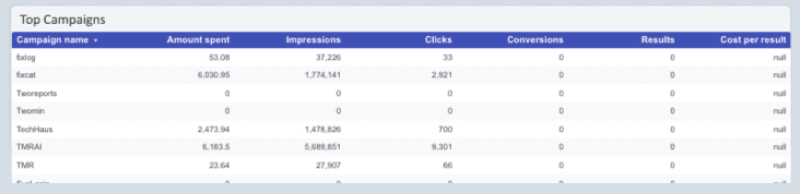 TikTok Ads Overview Report