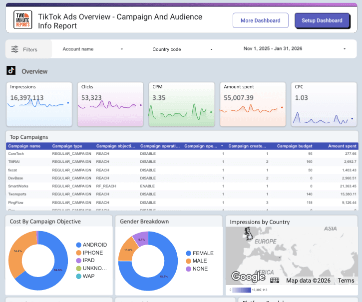 TikTok Ads Overview - Campaign And Audience Info Report