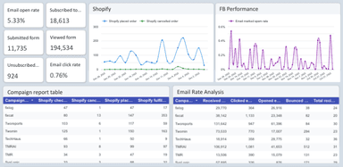 Klaviyo - Shopify & FB Analysis Report
