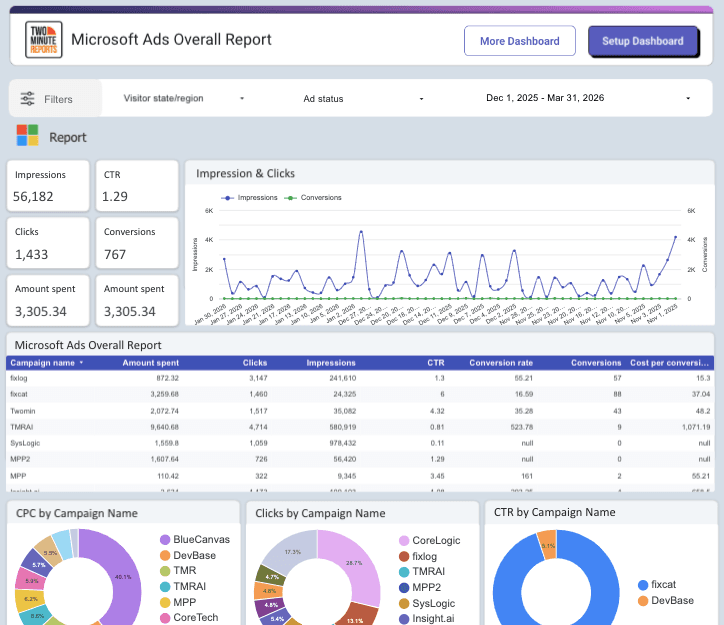 Microsoft Ads Overall Report
