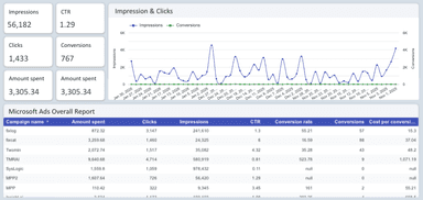 Microsoft Ads Overall Report