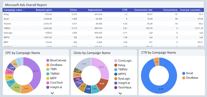 Microsoft Ads Overall Report