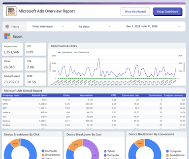 Microsoft Ads Overview Report