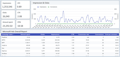 Microsoft Ads Overview Report