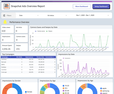 Snapchat Ads Overview Report