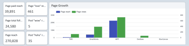 Facebook Page Insights Performance Overview Report