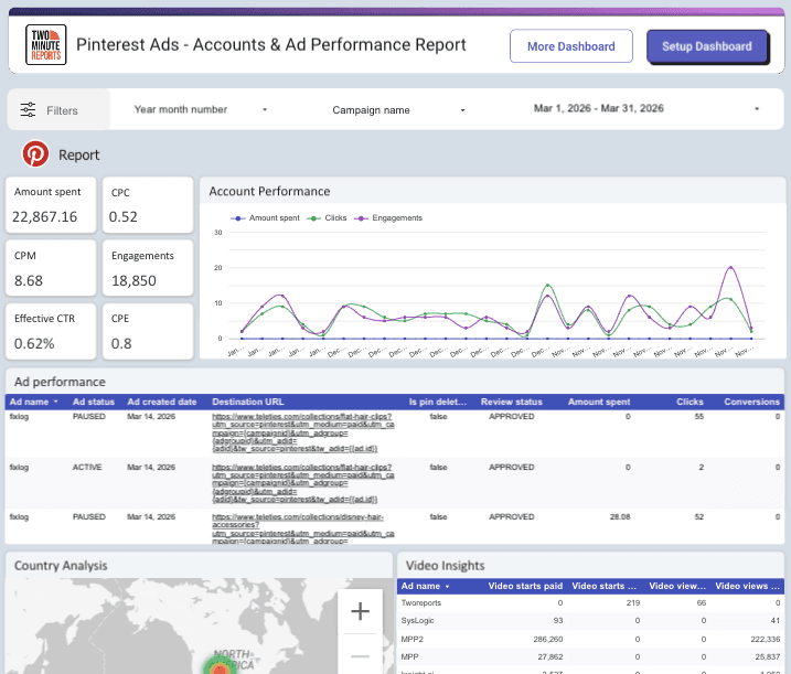 Pinterest Ads - Accounts & Ad Performance Report