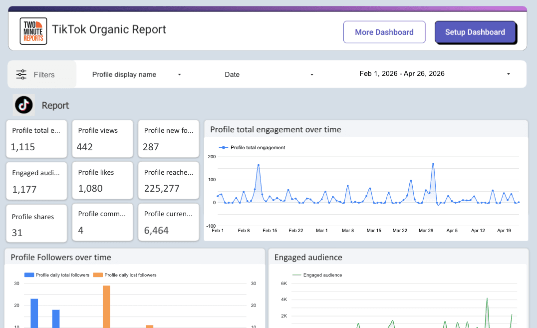 TikTok Organic Report Dashboard