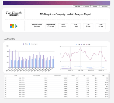 Microsoft/Bing Ads - Campaign and Ad Analysis Report