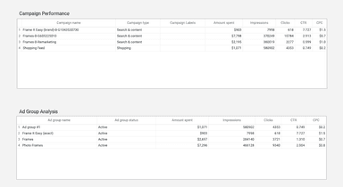 Microsoft/Bing Ads - Campaign and Ad Analysis Report