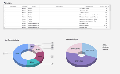 Microsoft/Bing Ads - Campaign and Ad Analysis Report