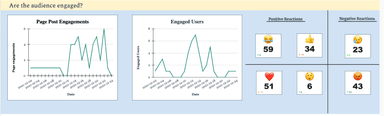Facebook Page Insights Monthly Performace Overview Report