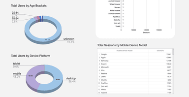 Google Analytics 4 - Audience Demographic Insights