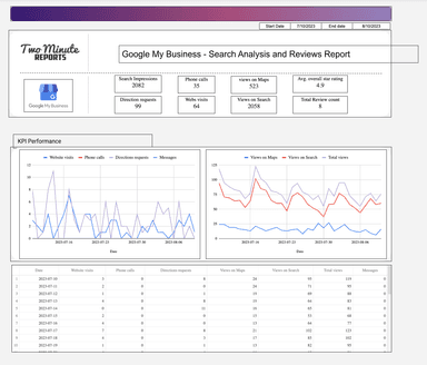 Google My Business - Search Analysis and Reviews Report