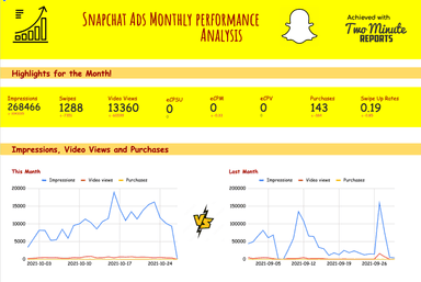 SnapAds Monthly Performance Dashboard