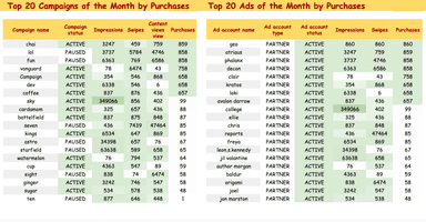 SnapAds Monthly Performance Dashboard