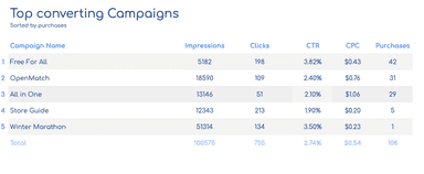 Website Purchases Report