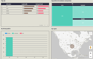 Facebook Ads Lead generation report by - lead gen performance,platform breakdown & position, demographics and region