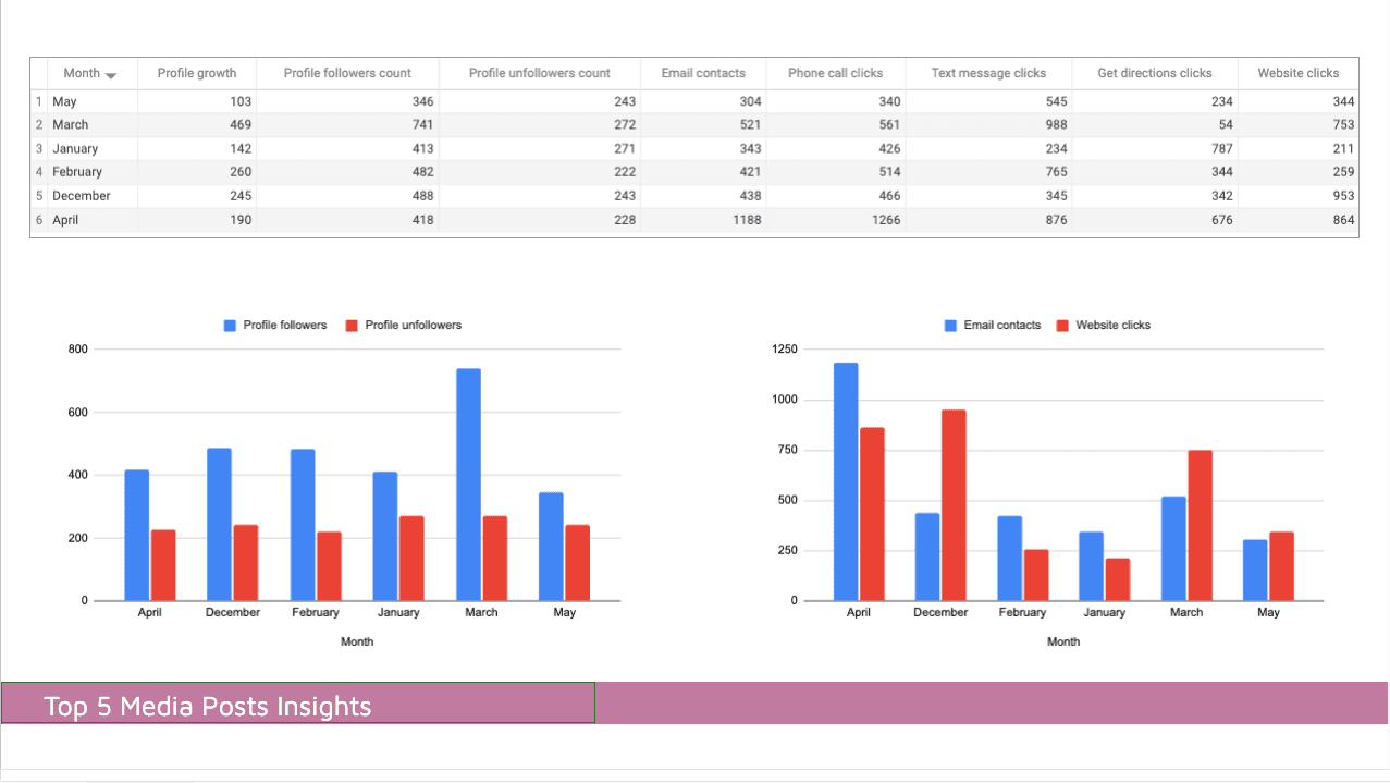 Instagram Insights Profile Analytics