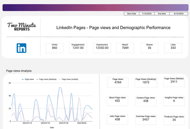 LinkedIn Pages - Page views and Demographic Performance 