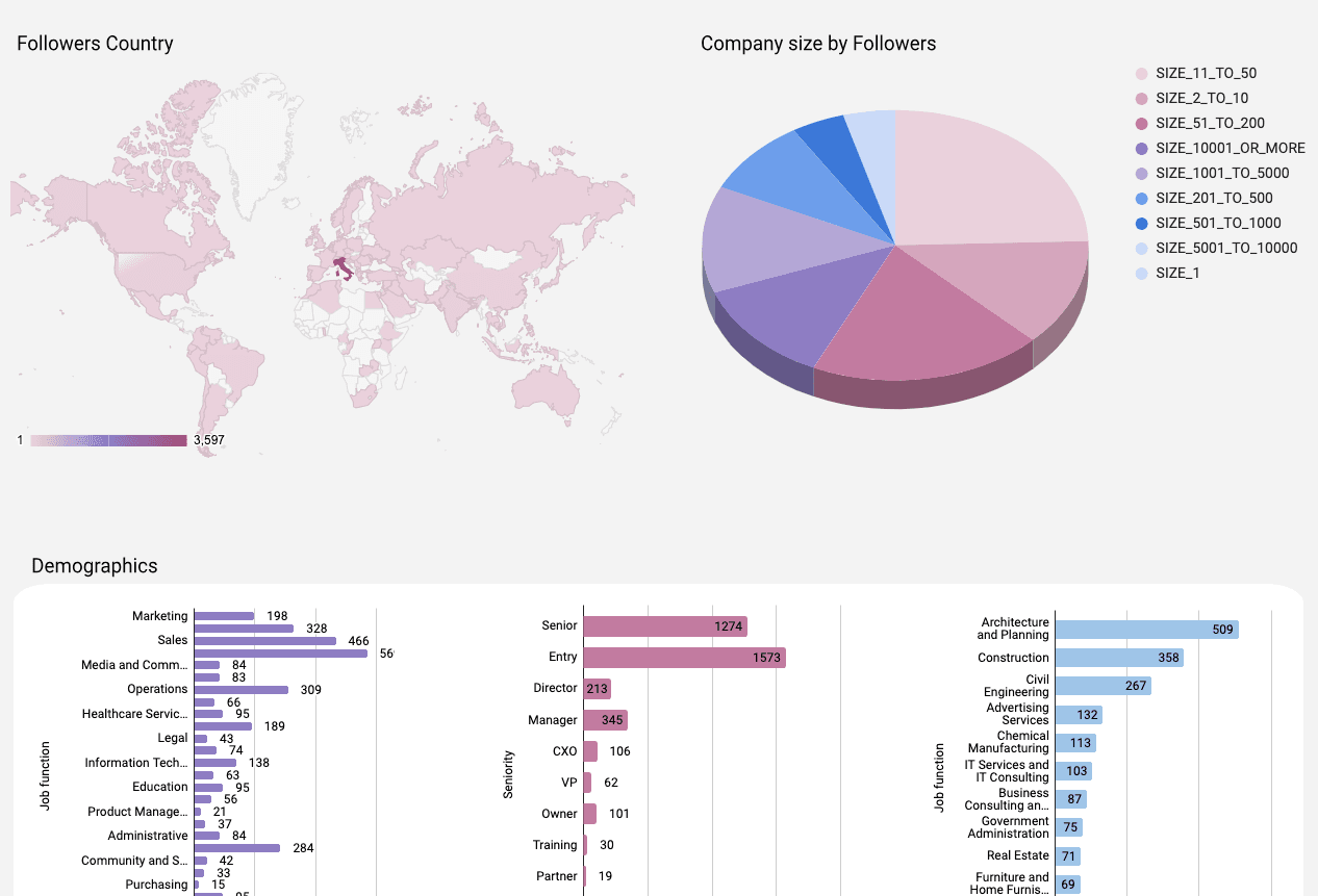 LinkedIn Pages - Page views and Demographic Performance 