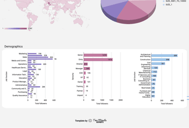 LinkedIn Pages - Page views and Demographic Performance 